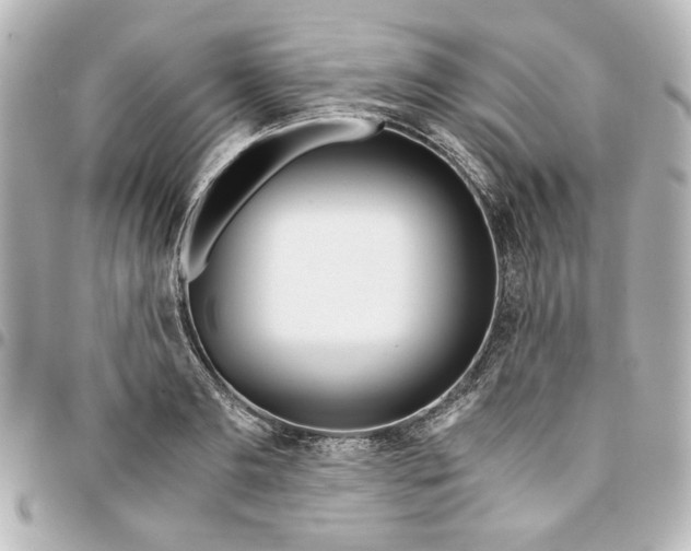 X0000094930893200712201050