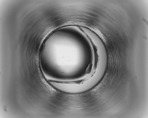 X0000094930896200712201050