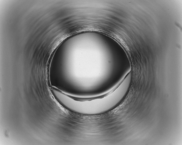 X0000094930898200712201050