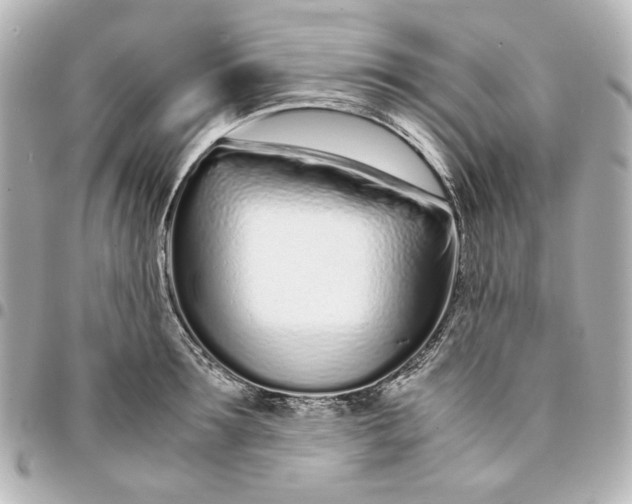 X0000094930899200712201050