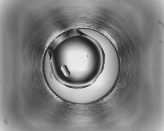 X0000094930901200712201050