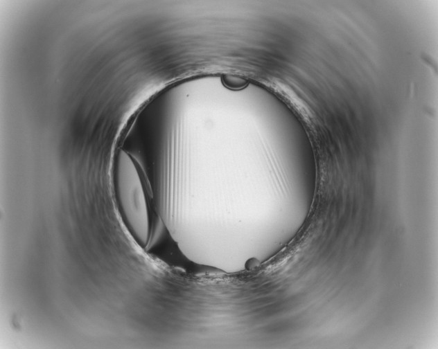 X0000094930902200712201050