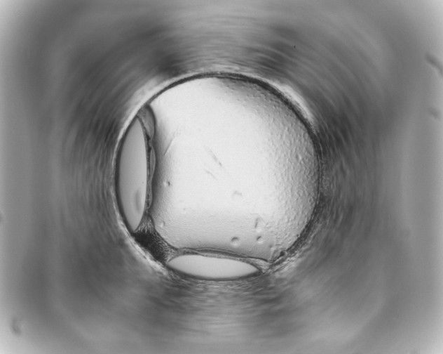 X0000094930903200712201050