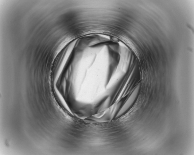 X0000094930906200712201050