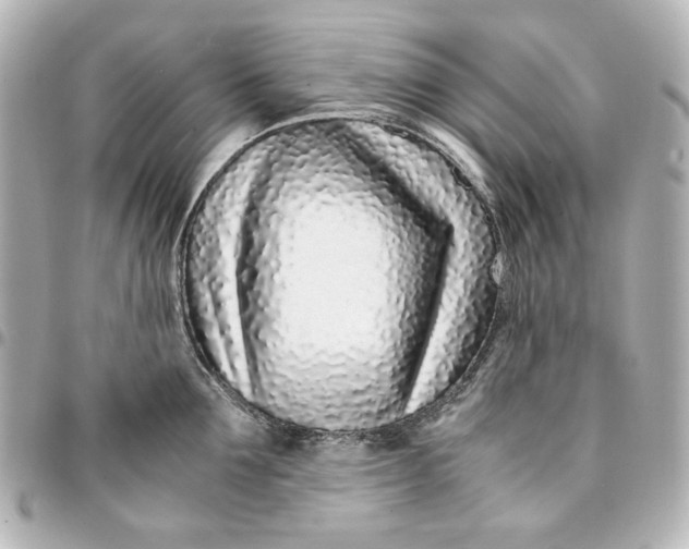 X0000094930907200712201050