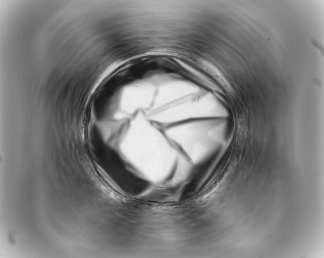 X0000094930908200712201050