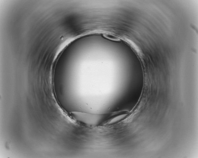 X0000094930910200712201050