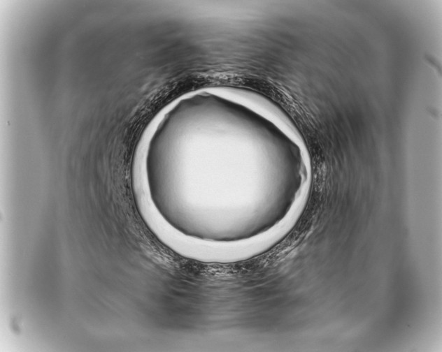 X0000094930913200712201049