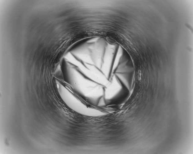 X0000094930915200712201049