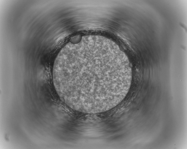 X0000094930918200712201049