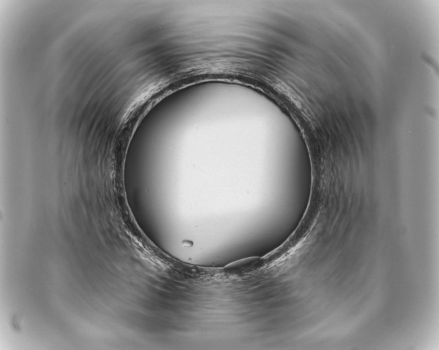 X0000094930922200712201049