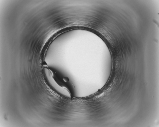 X0000094930926200712201049