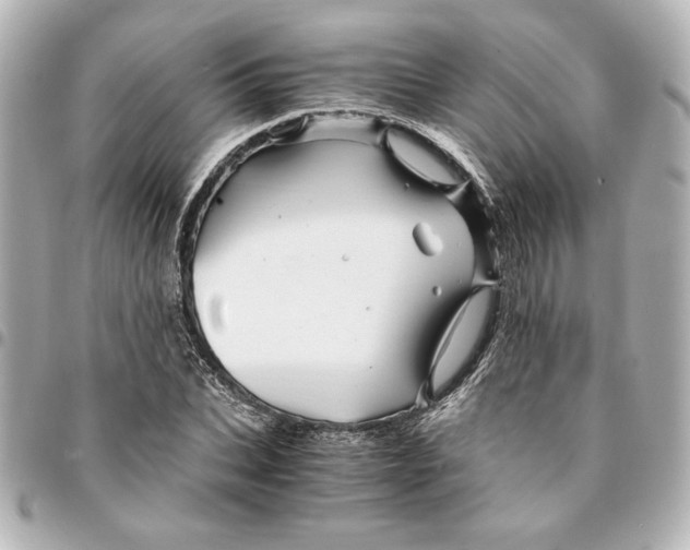X0000094930927200712201049
