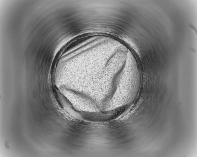 X0000094930928200712201049