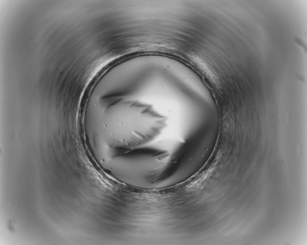 X0000094930932200712201049