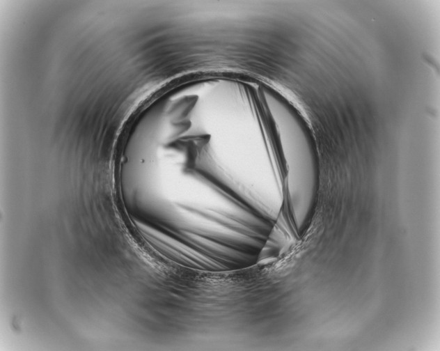 X0000094930935200712201049