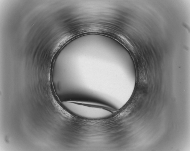 X0000094930938200712201049