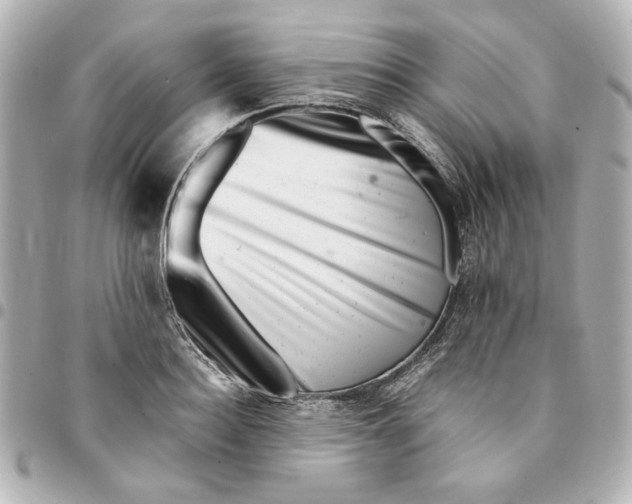 X0000094930940200712201049