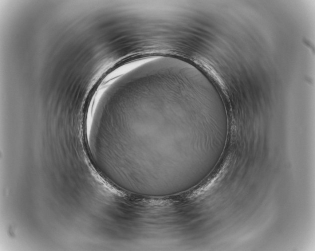X0000094930941200712201049