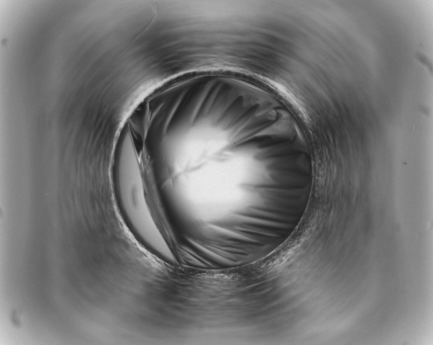 X0000094930943200712201049