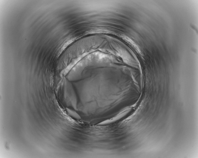 X0000094930945200712201050