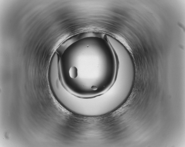 X0000094930946200712201050