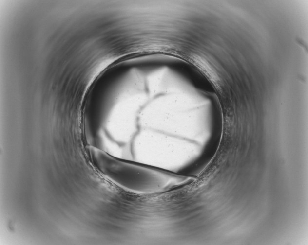 X0000094930948200712201050