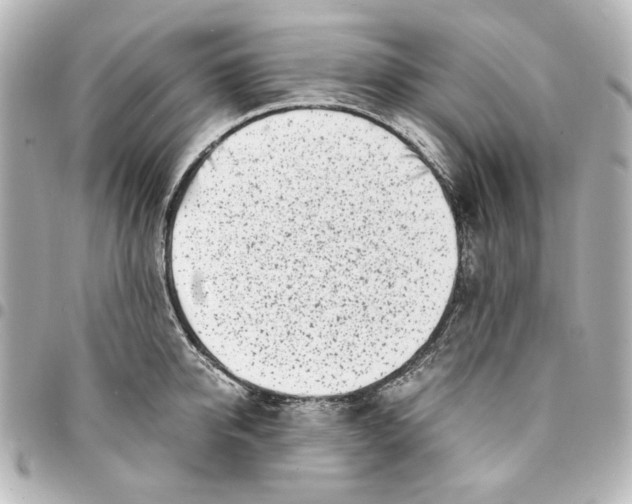 X0000094930950200712201050