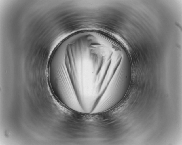 X0000094930951200712201050