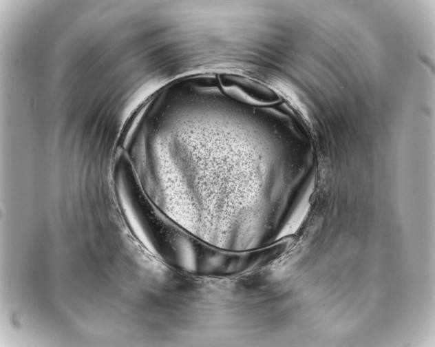 X0000094930952200712201050