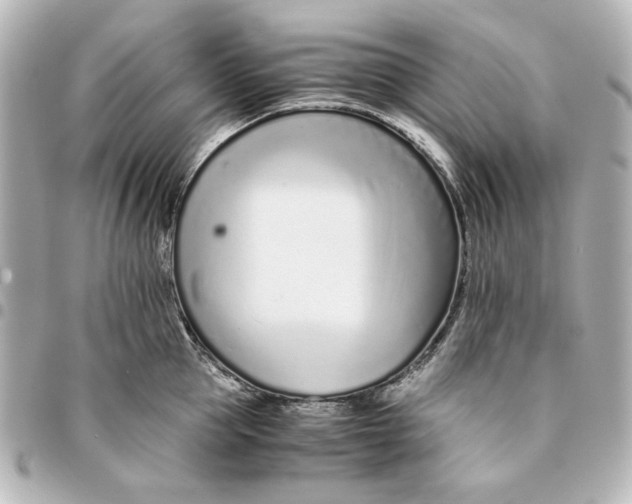 X0000094930953200712201050