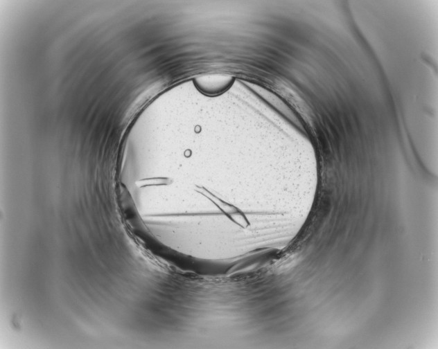 X0000094930954200712201050