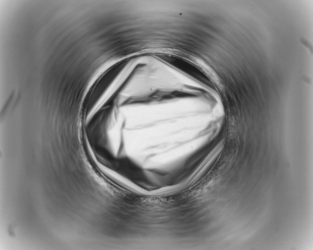 X0000094930955200712201050