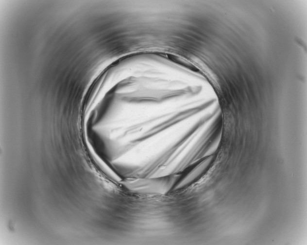 X0000094930956200712201050