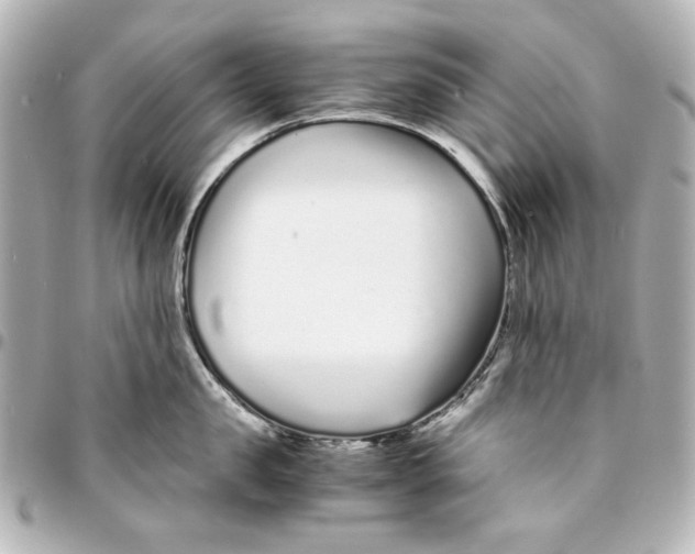 X0000094930957200712201050