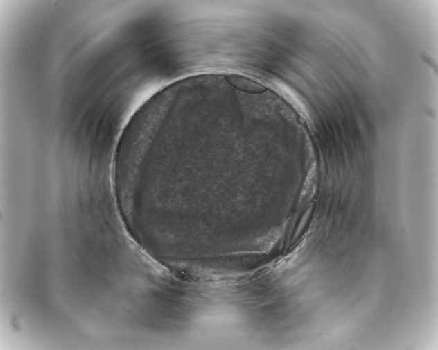 X0000094930958200712201050