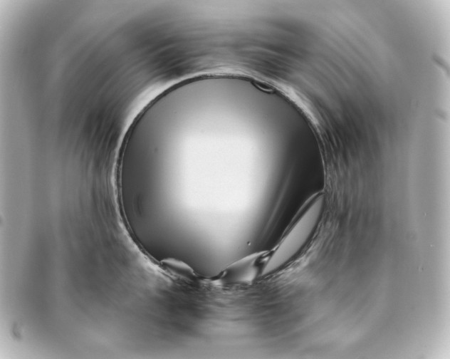 X0000094930959200712201050