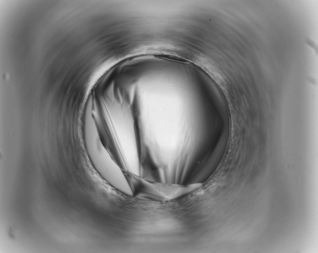 X0000094930960200712201050