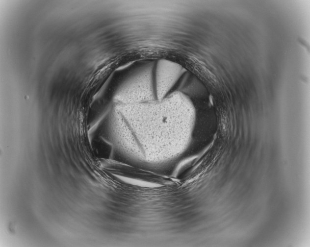 X0000094930964200712201049