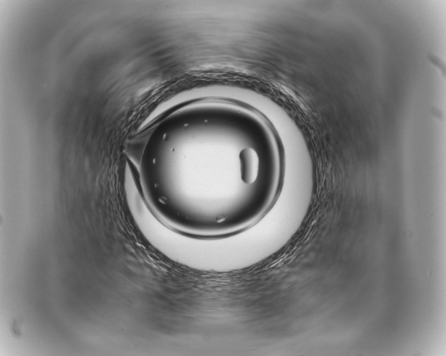 X0000094930965200712201049