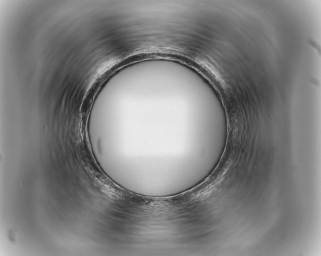 X0000094930974200712201049