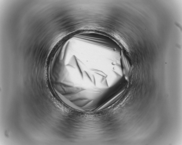 X0000094930976200712201049