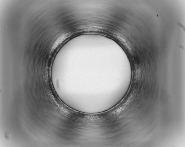 X0000094930978200712201049