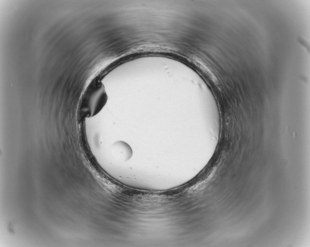 X0000094930981200712201049