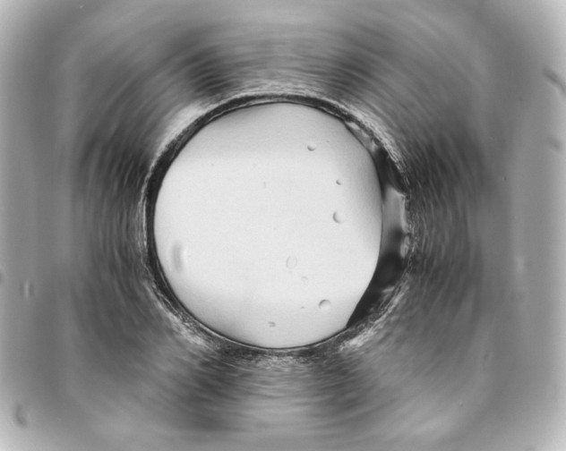 X0000094930982200712201049