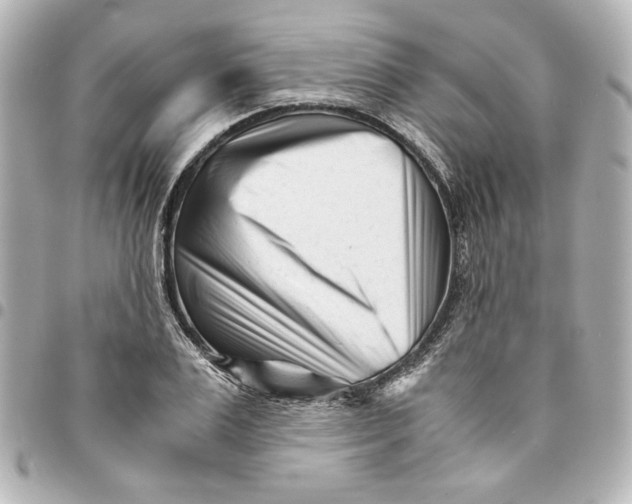 X0000094930983200712201049