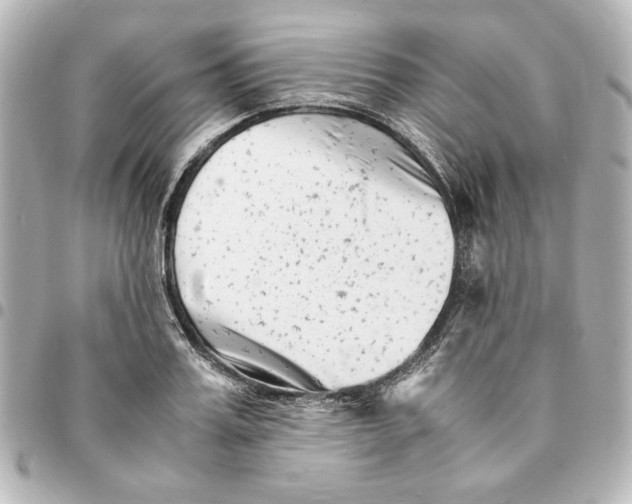X0000094930987200712201049