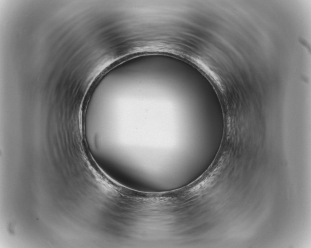 X0000094930988200712201049