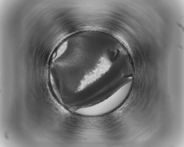 X0000094930992200712201048