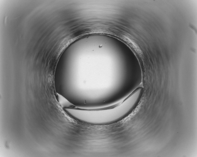 X0000094930993200712201048